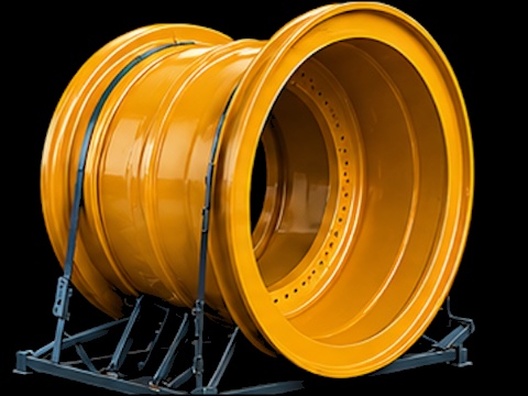 RIMS